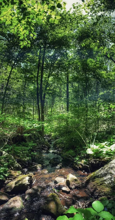 R2D2zSosnowca - Boehm Pond Open Space, Shelton #connecticut +18C

#r2d2zwiedza #natur...