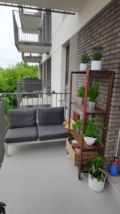 Ramb0o - #balkon #rosliny #roslinydoniczkowe #ikea #chillout #relaks