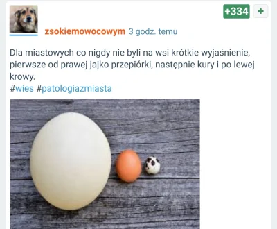 Mishy - Gdzie kupię takie krowie jajo? 
Serio pytam bo nigdy nie widziałem. W jakiś ...