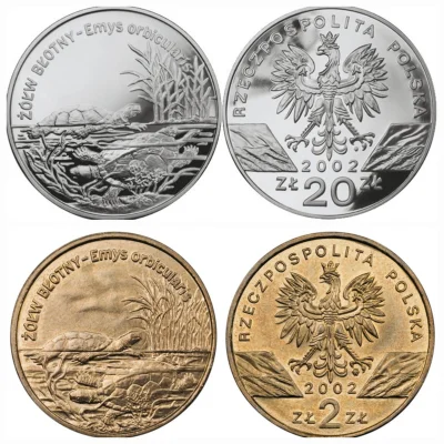 resuf - Żółw błotny występuje też na monetach NBP