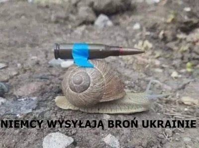 Wilson_ - #heheszki #humorobrazkowy #ukraina #wojna