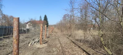 Pesa_elf - Zbliżamy się do końca podróży, już widać budynek stacji Mędrzechów.