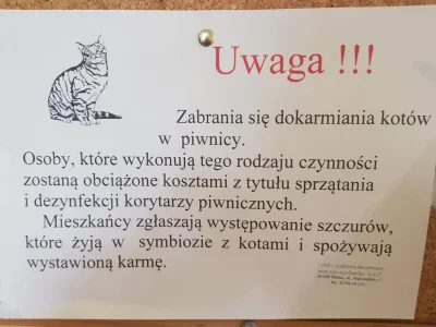 Villthuriss - Szczury w symbiozie z kotkami ( ͡° ͜ʖ ͡°)
#kielce #heheszki #smiesznek...