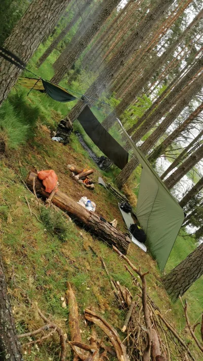 Damianowski - Dzisiaj sramy, chlamy i śpimy w lesie. 
#!$%@? że zaraz będzie deszcz
...