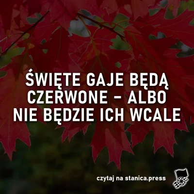 r....._ - „Lasy w Polsce zamierają. Jak donosi OKO.press w wywiadzie z profesorem Krz...