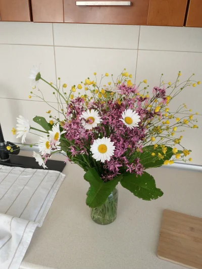 Arbuzlele - Zrobiłam bukiet z polnych kwiatów i liści. Ładny? 

#atencyjnyrozowypasek...