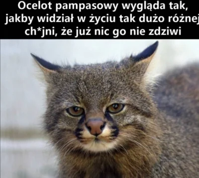 ProstyRolnikZPodlasia - Poniedziałek 
#heheszki #humorobrazkowy