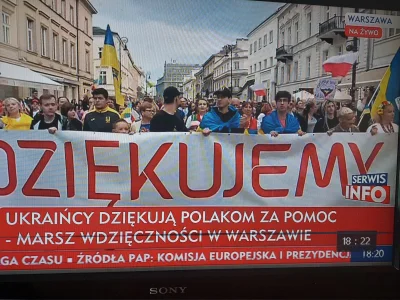 Wiggum89 - Marsz Wdzięcznosci. Ukraincy dziękuja Polakom za pomoc. Są flagi Polski or...