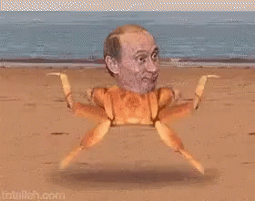 PanG - @Wieslaw_Warzywo: putin krab xD