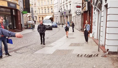 taaajasne - Taka sytuacja na ulicy Długiej w Bydgoszczy. 

To nurogęsi. Rzadko wyst...