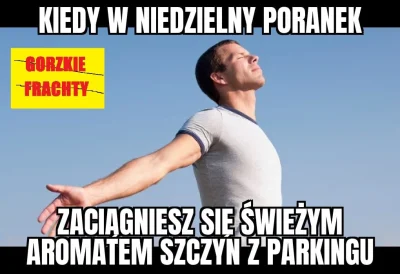 xspeditor - Nie pomogą darmowe toalety na nowych mopach, nie pomogą znaki zakazujące....