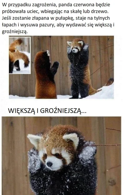 Zkropkao_Na - Ja tam jestem przerażona (｡◕‿‿◕｡)
#gruparatowaniapoziomu #zwierzaczki ...