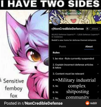 Bzdziuch - mmm mój ulubiony subreddit

#militaria #furry