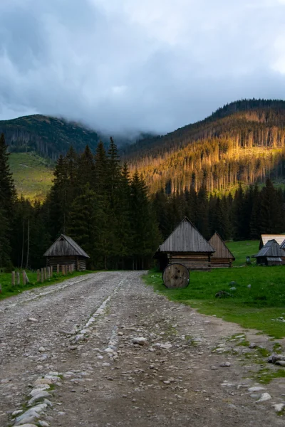 paramite - #tatry
Chochołowska w poniedziałek.