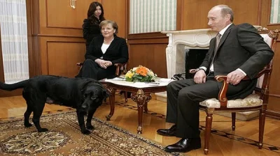 Kjedne - Na zdjęciu Putin ze swoim wiernym psem.

SPOILER

Okazuje się że rząd An...