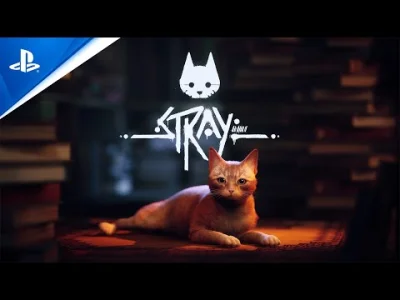 janushek - Stray | Premiera 19 lipca
Gra będzie na premierę w Plus Extra i Plus Prem...