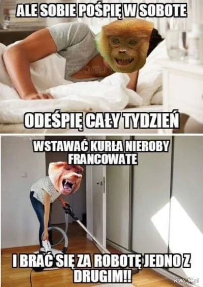 kimunyest95 - Człowiek się starzeje i bez sensu w sobotę wstaje o 5 rano po 4h snu ja...