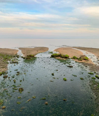 R2D2zSosnowca - Silver Sands State Park, Milford #connecticut +25C

#r2d2zwiedza #nat...