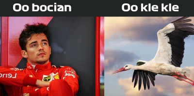 g.....u - #f1