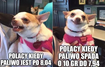 Powiemjak - #humorobrazkowy