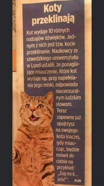Asgareth - #koty #humorobrazkowy #heheszki #smiesznekotki