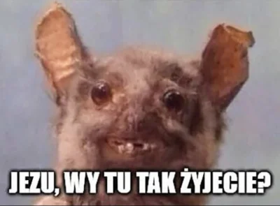 kamil-tika - Pani Ola chwile po wejsciu na meline przy ul. Szkolnej 17.. ( ͡° ͜ʖ ͡°)
...