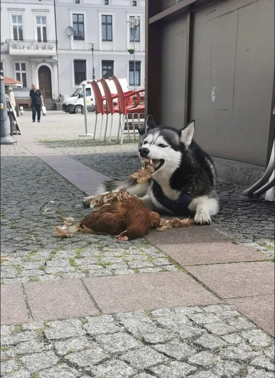 k.....a - W moim rodzinnym mieście zaczyna być jak na dzikim wschodzie. Nie moje foto...