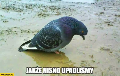 TavarishPiesov - To nie jest śmieszne nic a nic jak ten pseudokraj się stacza