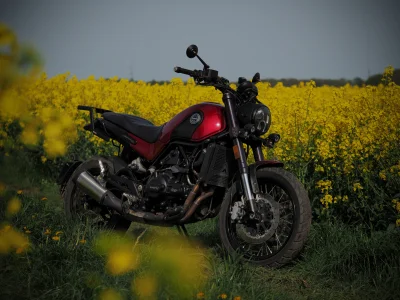 persona-dafta - #pokazmotor moje #chinskiegowno #benelli Leoncino Trail w rzepaku (⌐ ...