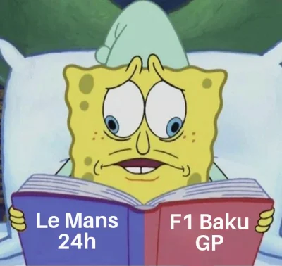 g.....u - #f1 #lemans