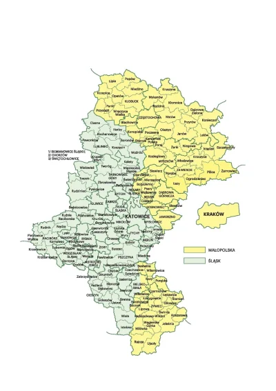 Cheshire - Żywiec to jedno z tych miast, które nie powinny być w województwie śląskim...