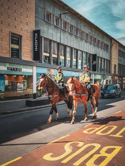 lebele - Policja konna - Bristol, Anglia

#fotografia #podroze #policja #boysinbristo...