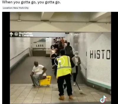 MagnatSzczerosci - https://www.reddit.com/r/SubwayCreatures/comments/odr70v/whenyougo...