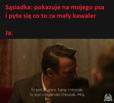 bajeron - #heheszki #humorobrazkowy #slepnacodswiatel #psy #smiesznepieski