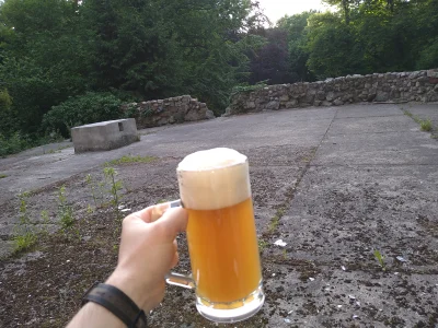 SzycheU - Wziąłem sobie kufel żeby na pianę popatrzeć 
#szycheucontent #piwo #weizen