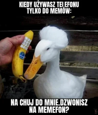 mlodagzbydgoszczy - #humorobrazkowy