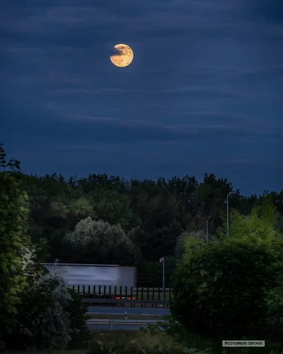 poznanskibronx - Wczorajszy księżyc
#mojezdjecie #polska #fotografia #ksiezyc #astron...