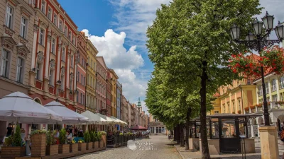 rencznik - @giku: ale to nie musi być Park, w Świdnicy na przykład wygląda to tak.