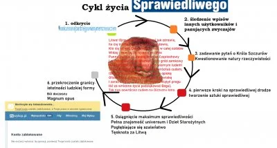 E.....L - @RamzesXIII: Cierpliwości, jesteś dopiero na trzecim etapie