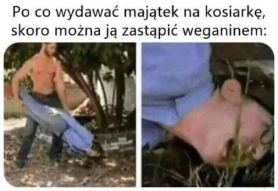 Perkotka - Nawet śmieszy #weganizm #wegetarianizm #heheszki #humorobrazkowy #kosiarka