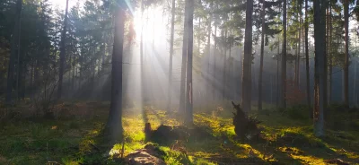 AdvisoryLyrics - Właśnie stamtąd wracam na Mazury. Tylko miejscowości graniczące z sa...