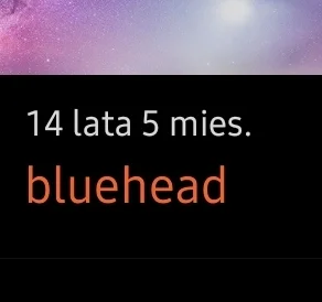 bluehead - #owmbugi
Tak ciężko dołożyć case switch dla liczebników?
Ten sam zgrzyt je...