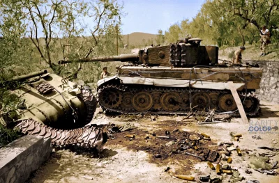 wojna - Czołg Sherman z nowozelandzkiego 20 Pułku Pancernego, leży zniszczony na pobo...