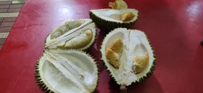 kotbehemoth - Znowu są! Drogie jak zboże ale mówi się trudno.

#durian #jedzzwykopem ...