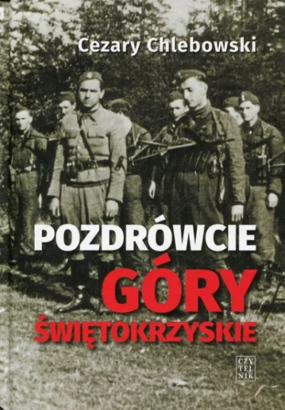 brusilow12 - Polecam serdecznie książkę o Ponurym i jego żołnierzach!
