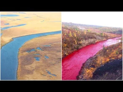 cycaty-fejm - Skażenie środowiska to klasyka w rosji, tam nikogo to nie interesuje, z...