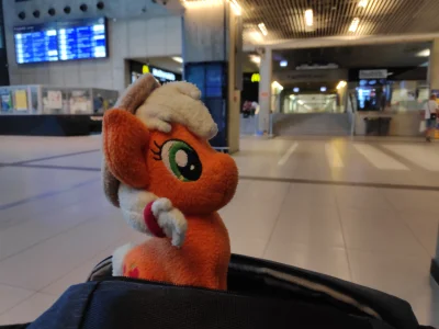 karoryfer - Howdy y'all! It's a time for another #kucotrip sugarcubes! 
#kucyki #mlp
