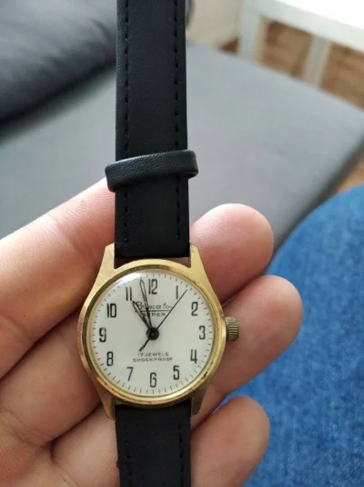 blackgoku - Ktoś może powie mi coś o tym zegarku ? primato super 17 jewels shockproof...