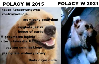 panczekolady - @Mezomorfix:
