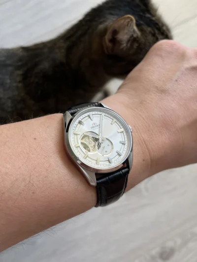 wjtk123 - Sobotnia kontrola.

#zegarki #kontrolanadgarstkow #koty